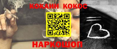 бошки Кингисепп