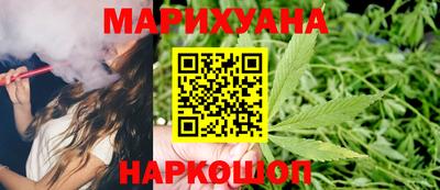 бошки Кингисепп