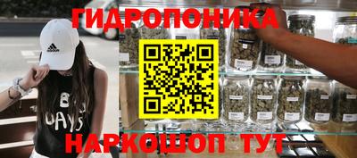 бошки Кингисепп