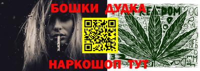 бошки Кингисепп