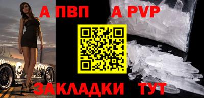 бошки Кингисепп