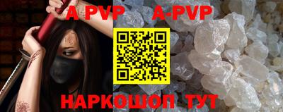 бошки Кингисепп