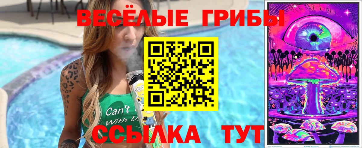 Псилоцибиновые грибы Psilocybine cubensis Красногорск
